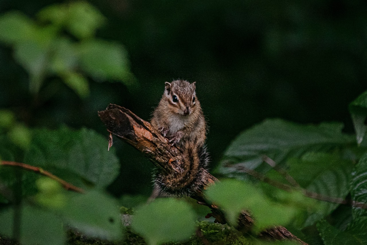 양양 가볼만한곳 베스트10