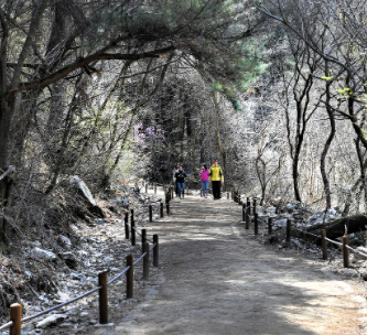 치악산 자연휴양림8