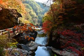 출처 구글이미지 설악산 단풍