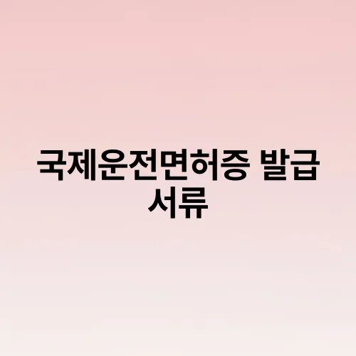 국제운전면허증 발급 서류