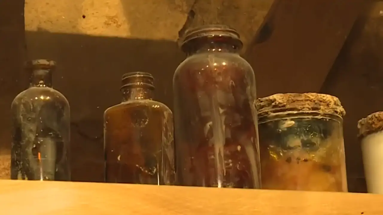 크레센트 호텔에 사는 또 다른 유령들은 이런 표본들이 발견되며 더욱 심해졌다