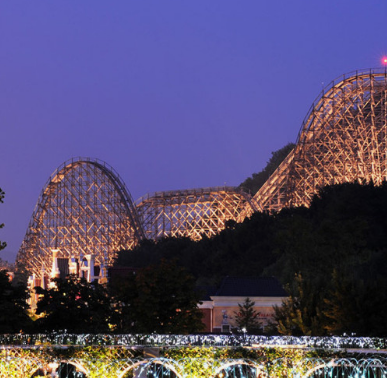 2024 에버랜드 은행나무숲산책 신청