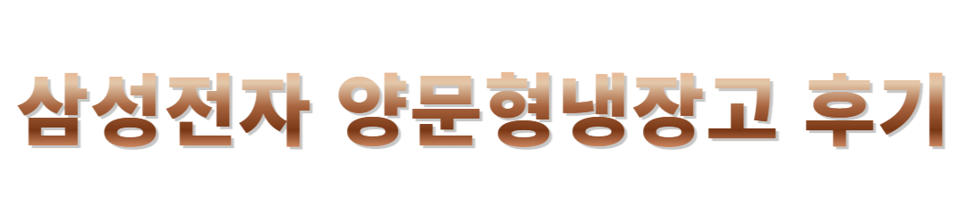 삼성 비스포크 냉장고리뷰