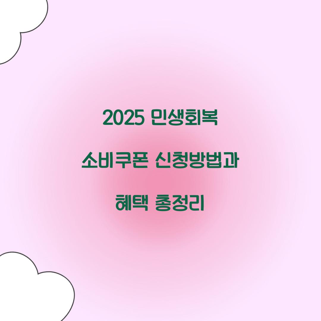 2025 민생회복 소비쿠폰 신청방법