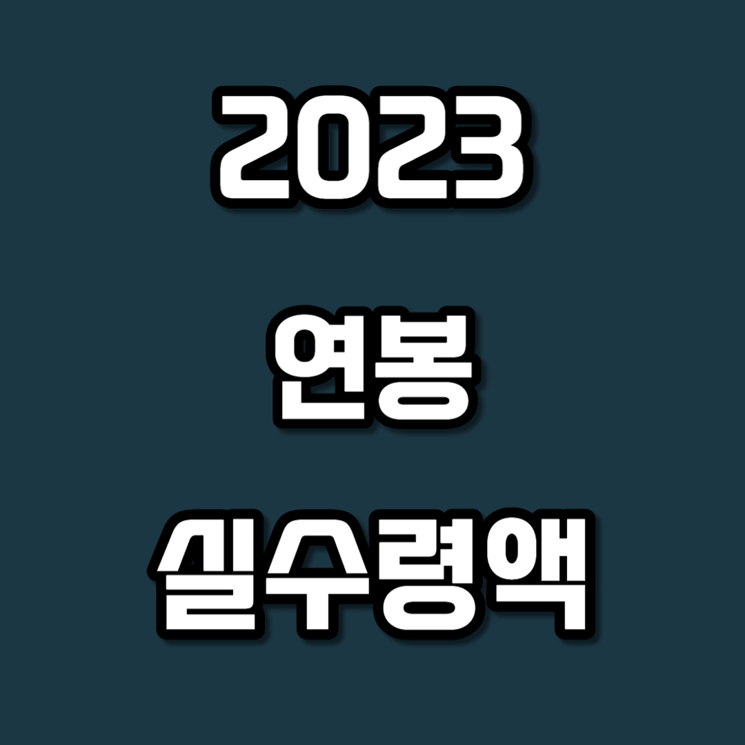 2023 연봉 실수령액