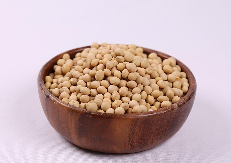 그릇에 가득 담긴 매끈하고 둥근 모양의 노란 메주콩(백태) 알갱이들