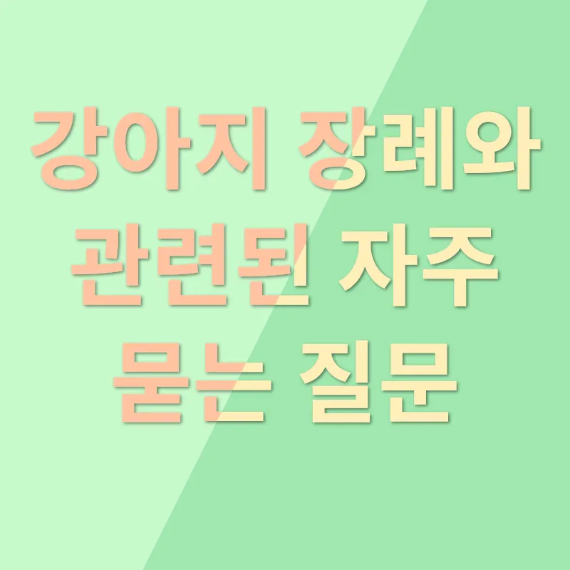 강아지 장례_4