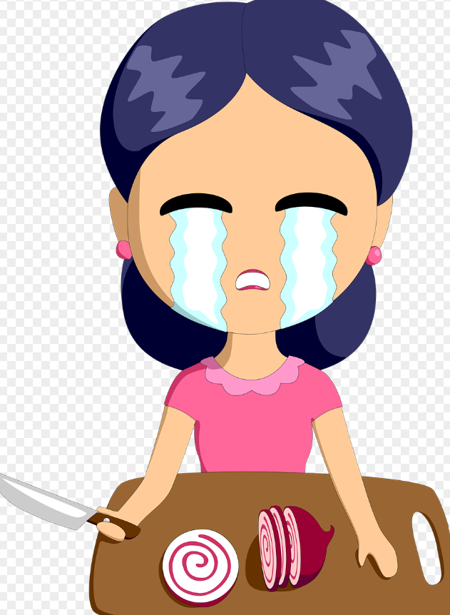 양파 설다 우는 주부 그림