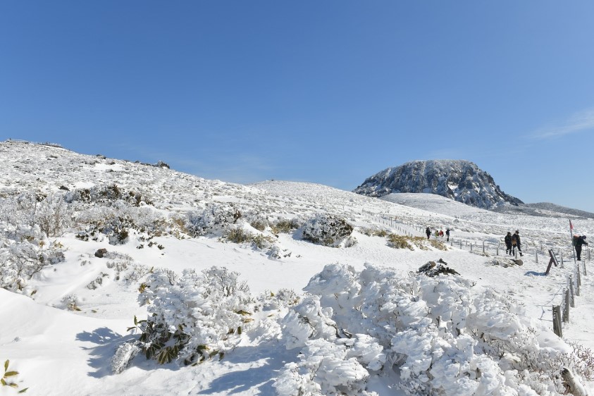 한라산의 겨울 모습 사진