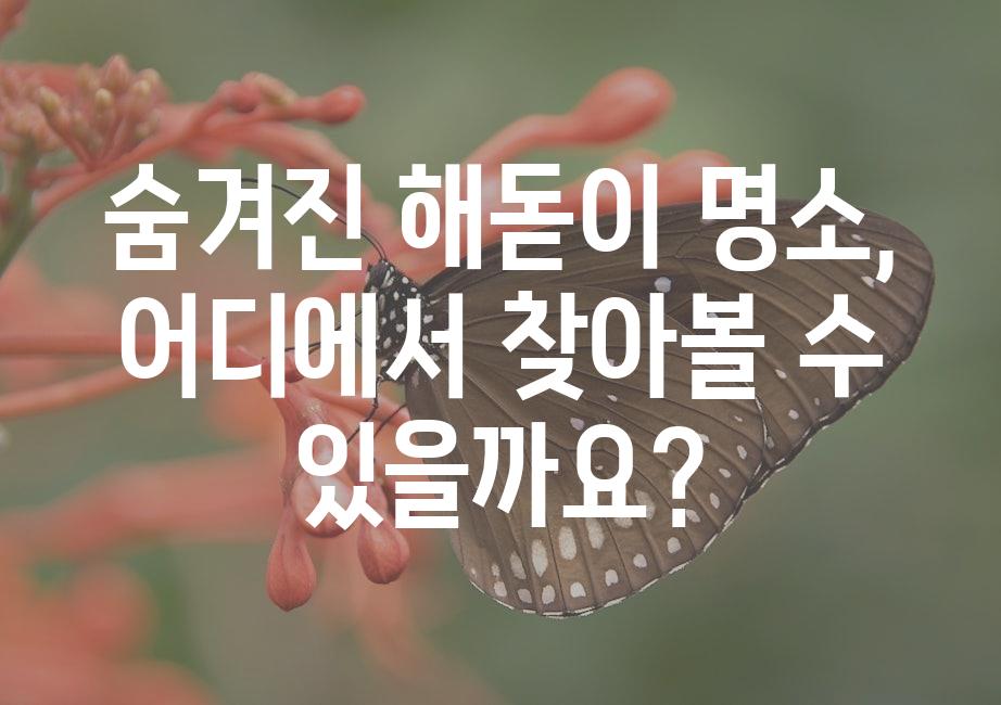 샘플 (51)