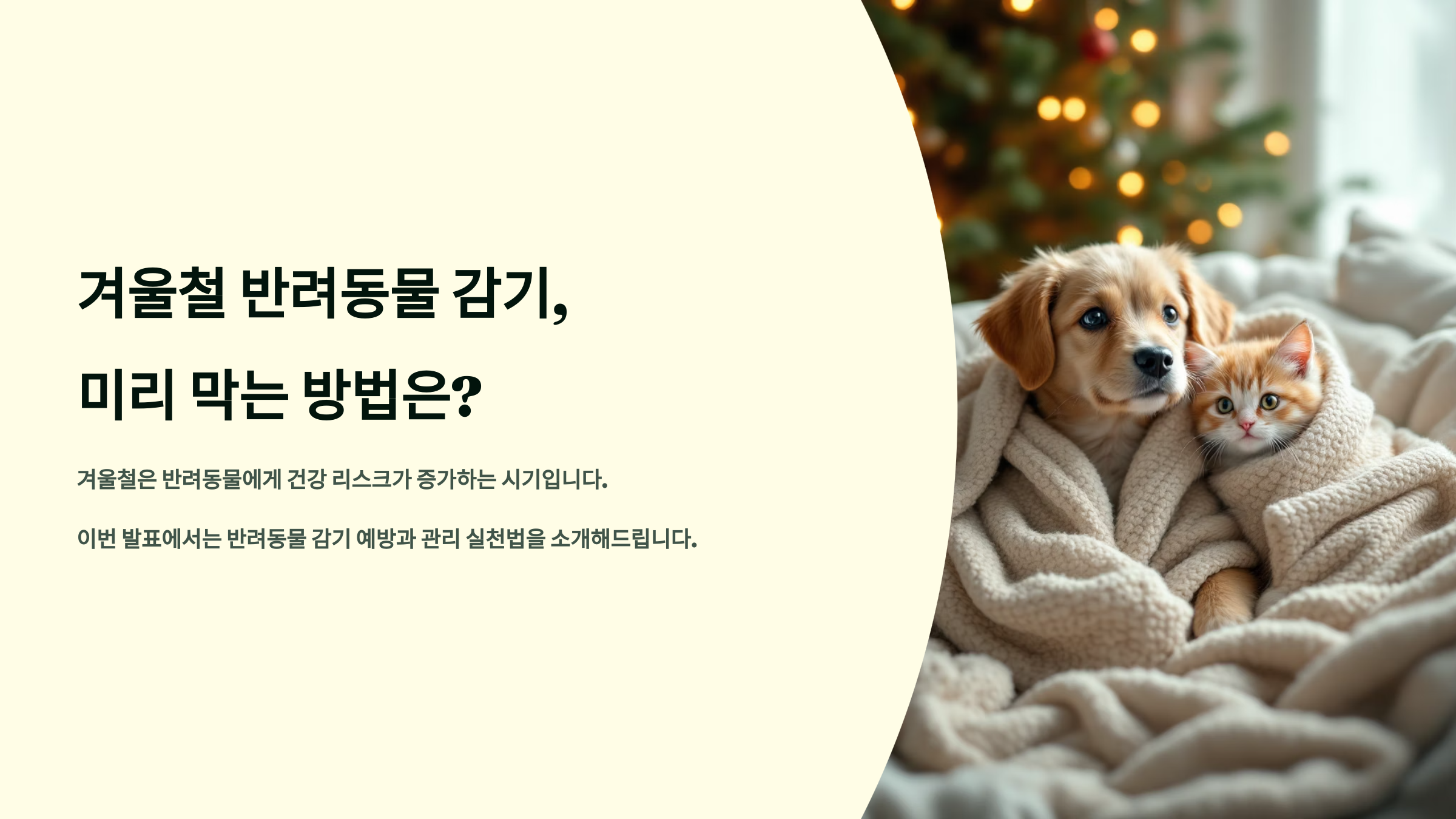 겨울철 반려동물 감기, 미리 막는 방법은?