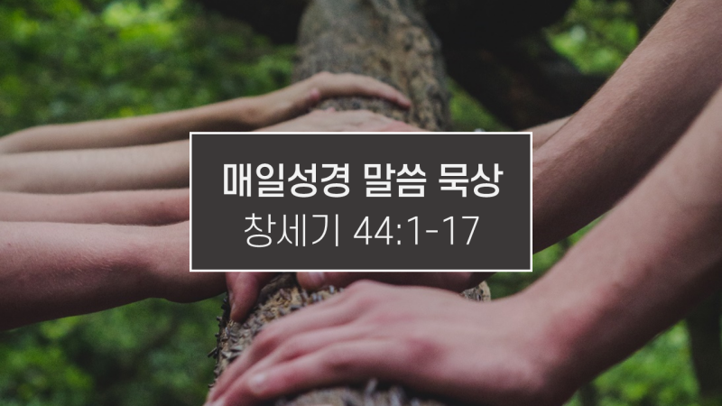 썸네일-하나의-통나무에-여러-손을-얹고-있는-이미지