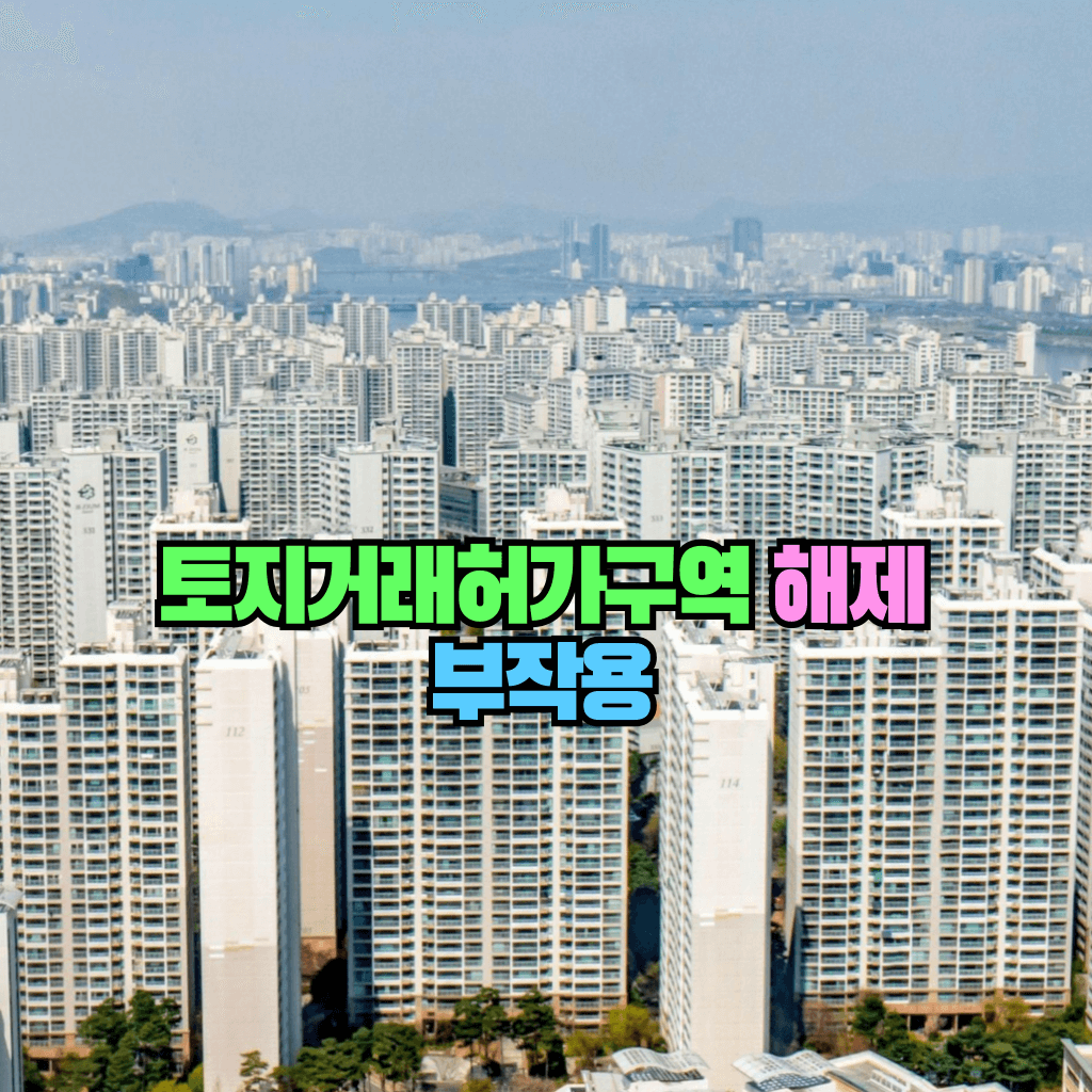 토지거래허가구역 해제의 부작용