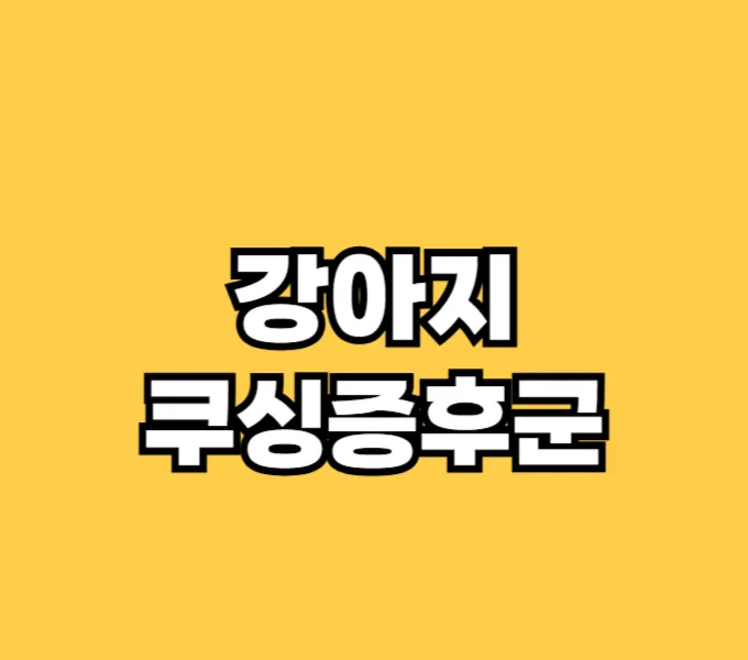 강아지 쿠싱증후군