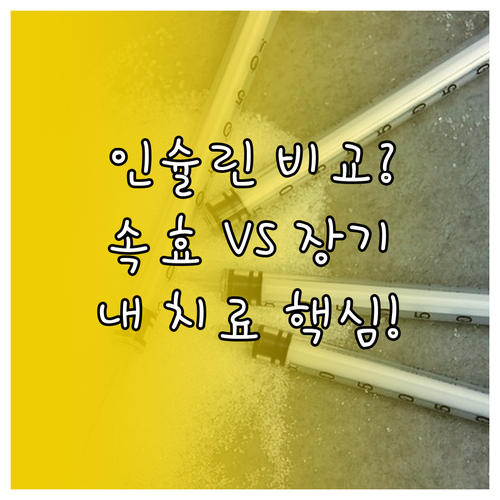 당뇨병 인슐린 치료의 모든 것 초속효..