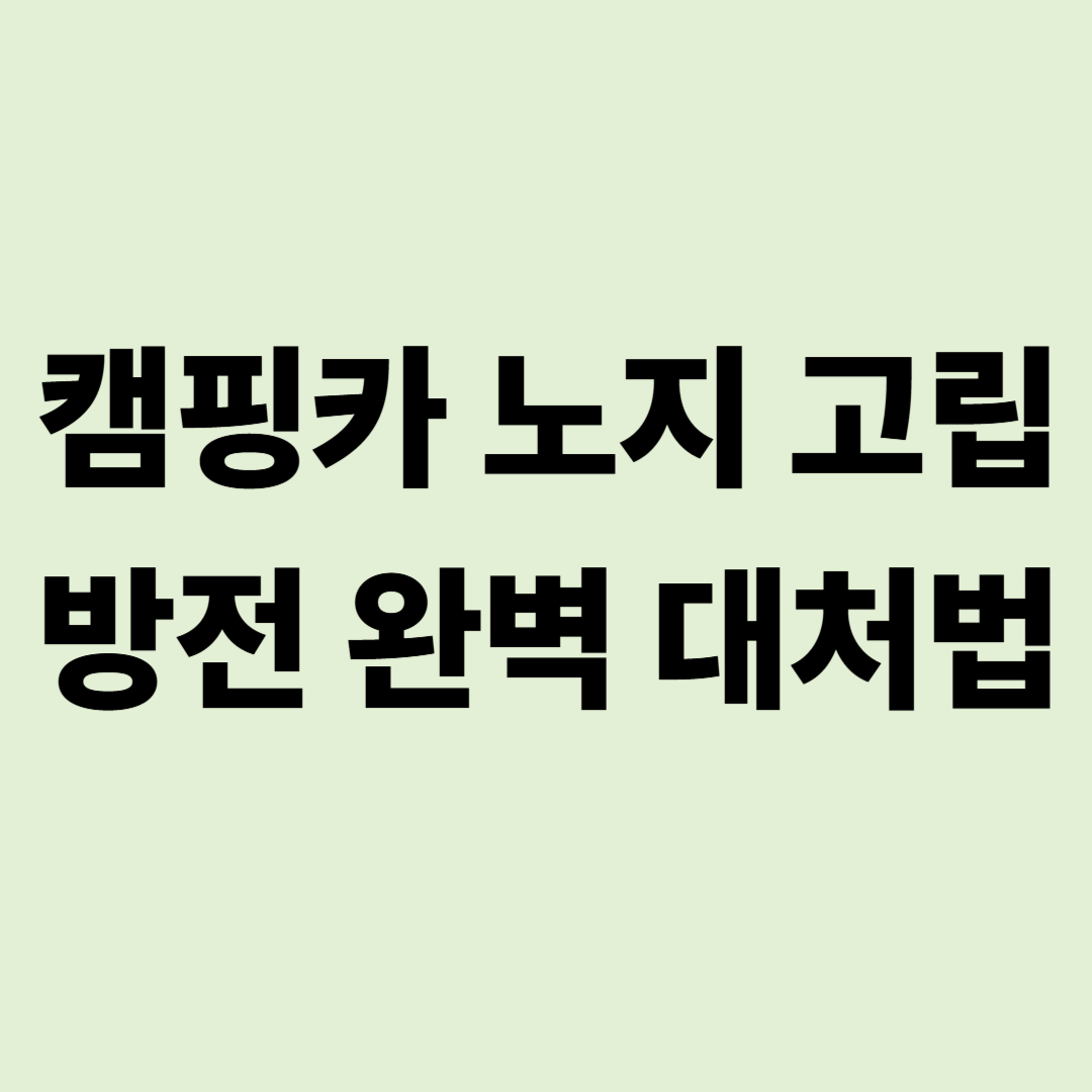 "보험사도 포기한 오지" 캠핑카 노지 고립/방전 완벽 대처법