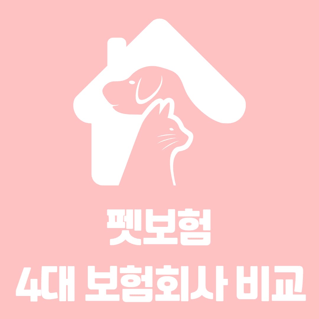펫보험 4대 보험사 비교 내 반려동물과 맞는 보험사는?