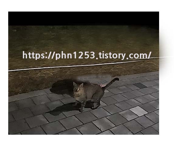 Alt 속성 문제 해결 설명 이미지