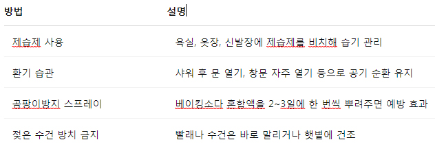 곰팡이 재발 방지법