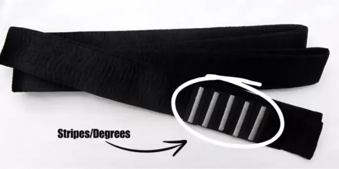 주짓수 벨트순서