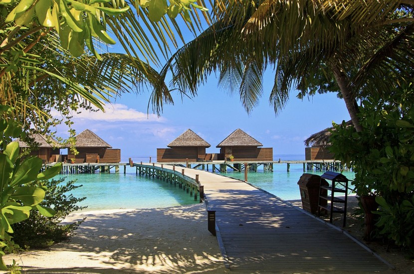 신혼부부를 위한 자연 여행지 몰디브 수상 풀빌라 사진