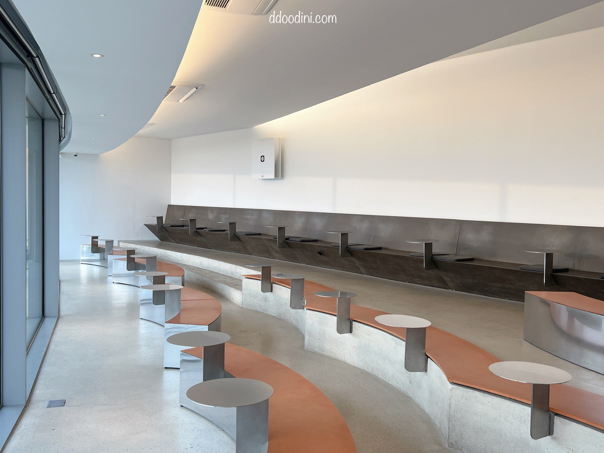 백수해안도로 보리