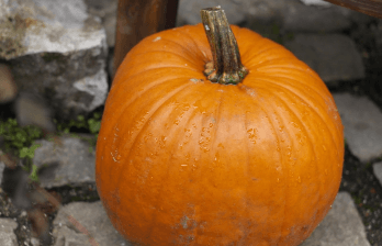 출산 후 뱃살 빼는 법&amp;#44; 단기간에 효과 보는 현실 팁