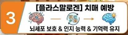 멍게 효능