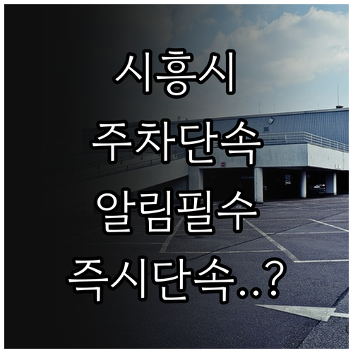 시흥시 자동차 주정차단속 알림 서비스..