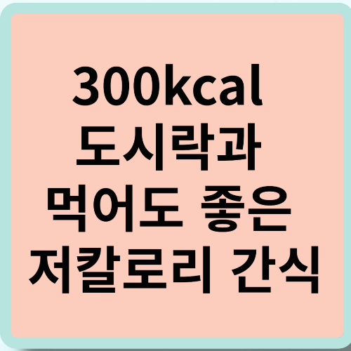 300kcal 도시락과 먹어도 좋은 저칼로리 간식