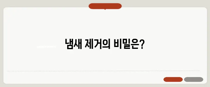 집안 냄새 없애는 방법 베이킹소다 활용이 핵심