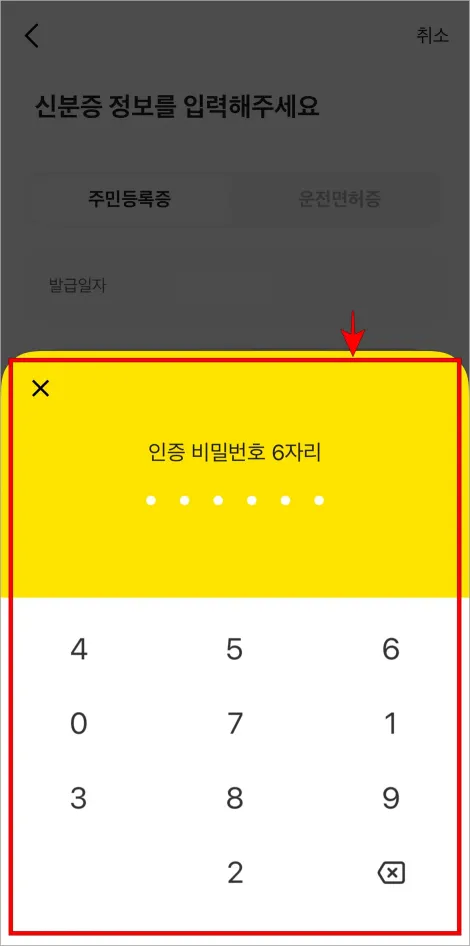 인증 비밀번호 6자리를 입력