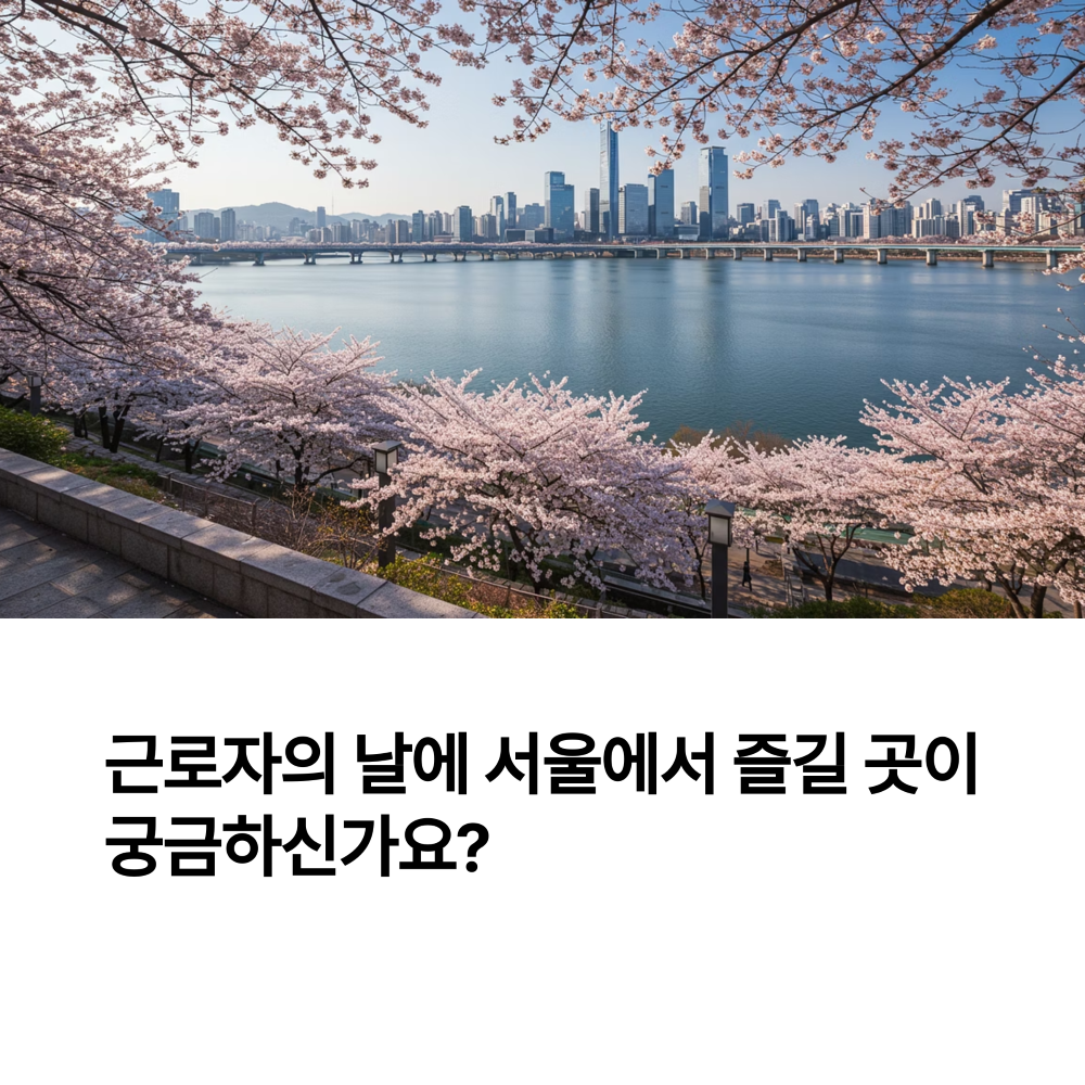 서울의 휴일 한강 모습