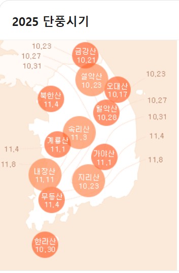 2025 단풍시기