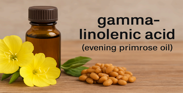 감마리놀렌산 (GLA) – 호르몬 관련 감정 기복 완화에 도움을 주는 필수 지방산