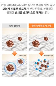 자동차 담배 냄새 제거