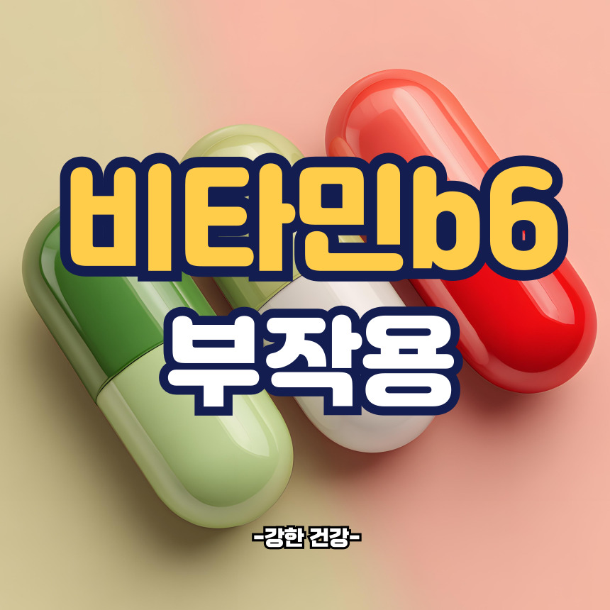 비타민b6 부작용