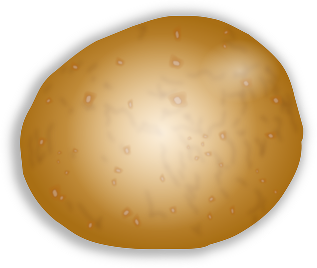 EWG 더티 더즌이란? 한국 농산물은 안전한가?