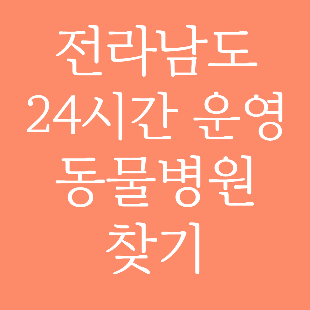 전라남도 24시간 운영 동물병원 찾기
