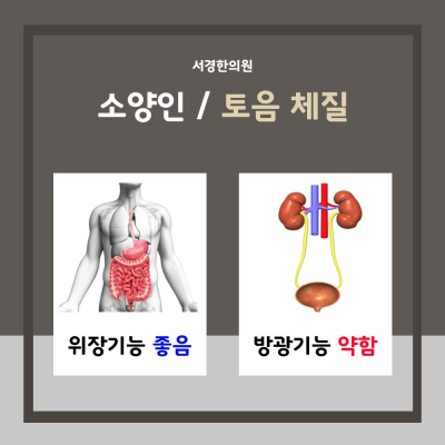 8체질의학 토음체질