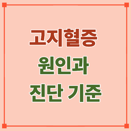 고지혈증 원인과 진단 기준 — 40대 이후 꼭 알아야 할 수치