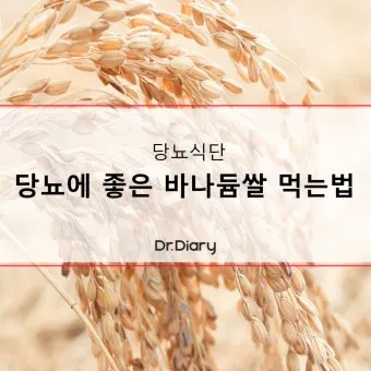바나듐쌀 효능과 당뇨에 좋은 이유 과학적으로 분석_4