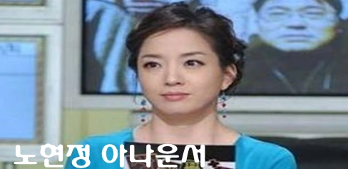 노현정 아나운서 프로필 