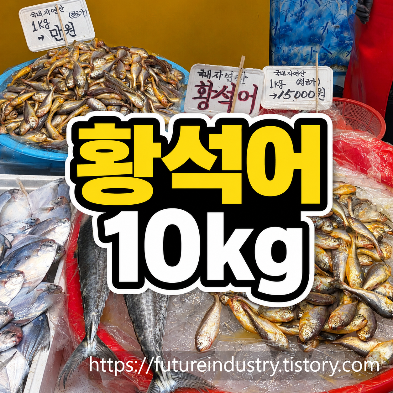 대명포구 황석어 가격과 젓갈 담그기 후기