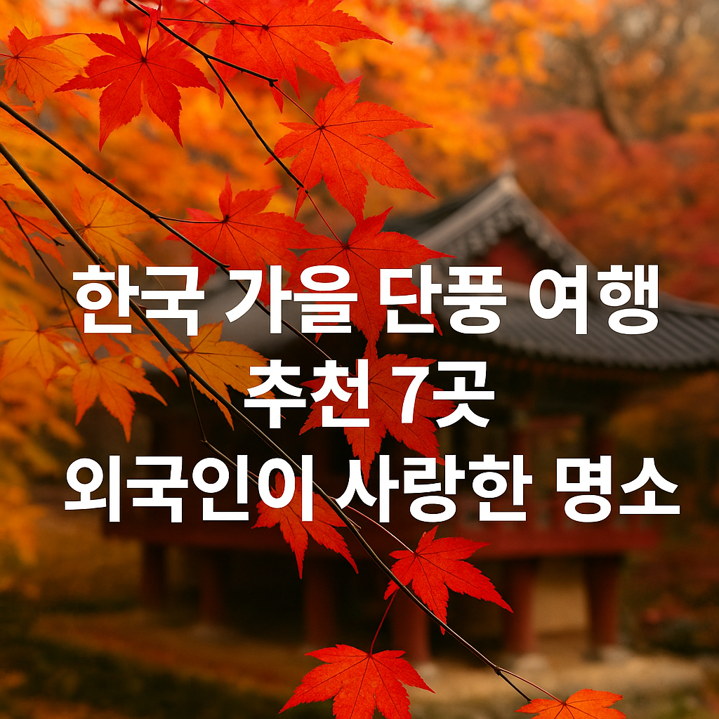 한국가을 단풍여행