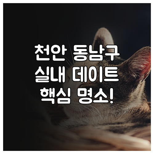 천안 동남구 1월 실내 데이트 명소 ..