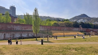 서대문 독립공원~안산 자락길 – 역사와 숲이 만나는 도보 여정