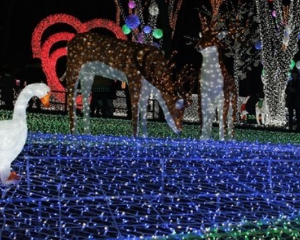 '비오는날' 실내데이트