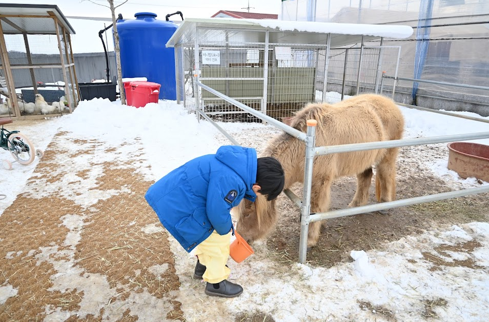 용인 포레스트벨 에서 딸기도 따고 동물 먹이도 주고 온 후기 사진 9
