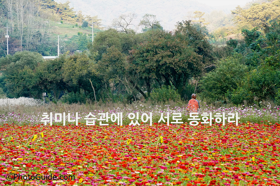 부부십계명-부부10계명